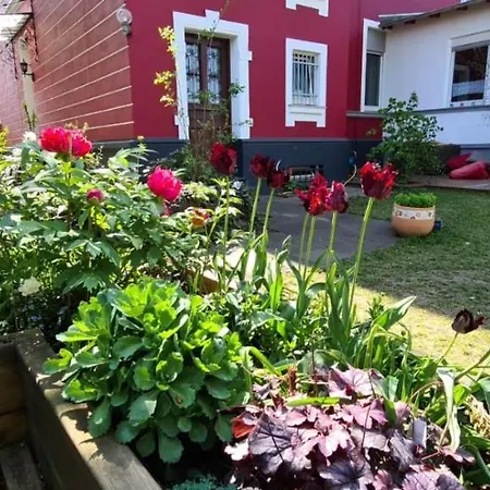 Garten - Eigener Eingang- Wlan-parkplatz,netflix, Terrasse,doppelbett Und Schlafcouch 아파트 오버하우젠